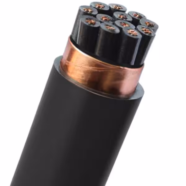 Cáp điều khiển DVV/SB/SC/S