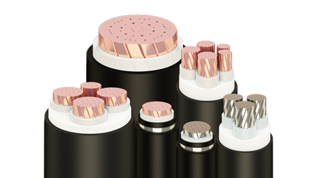 Cáp điện hạ thế CXV/CV/YJV/BV