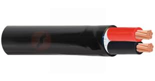 Cáp điện nguồn CVV/BVV-Cu/PVC/PVC 2x4.0
