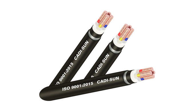 Cáp ngầm CXV/SWA-Cu/XLPE/DSTA/PVC 3x+1