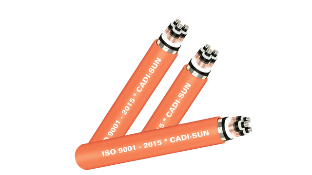 Cáp ngầm trung thế 24kV 3x
